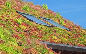 Hemp Green living roof systems