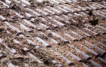 Hemp Green roof cleaning companies