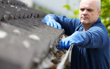 cleaning and inspecting Hemp Green roofs