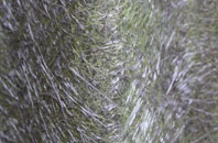 Hemp Green fibreglass roof work