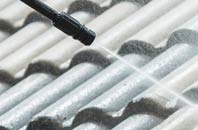 rated Hemp Green roof cleaning companies