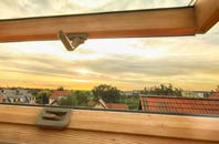 rated Hemp Green roof window companies
